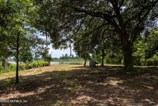 6071 Klare Dr, Keystone Heights, FL 32054 - photo 8