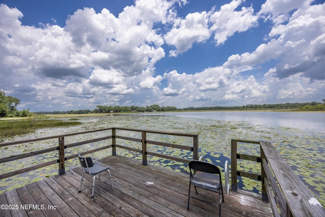 6071 Klare Dr, Keystone Heights, FL 32054 - photo 17