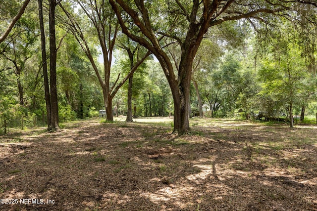 6071 Klare Dr, Keystone Heights, FL 32054 - photo 20