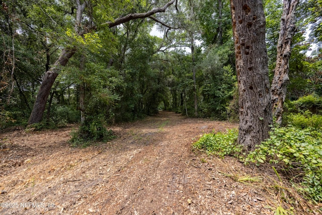 6071 Klare Dr, Keystone Heights, FL 32054 - photo 22
