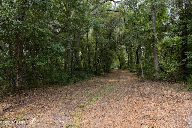 6071 Klare Dr, Keystone Heights, FL 32054 - photo 23