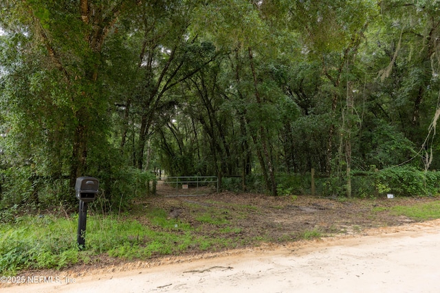 6071 Klare Dr, Keystone Heights, FL 32054 - photo 24