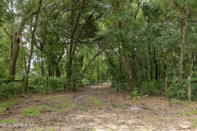 6071 Klare Dr, Keystone Heights, FL 32054 - photo 25