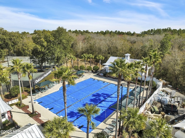 3750 Silver Bluff Blvd Unit 3001, Orange Park, FL 32065 - photo 67