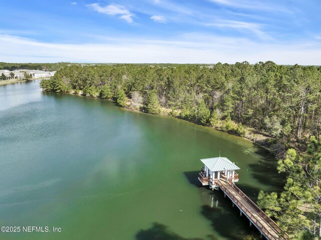 3750 Silver Bluff Blvd Unit 3001, Orange Park, FL 32065 - photo 72