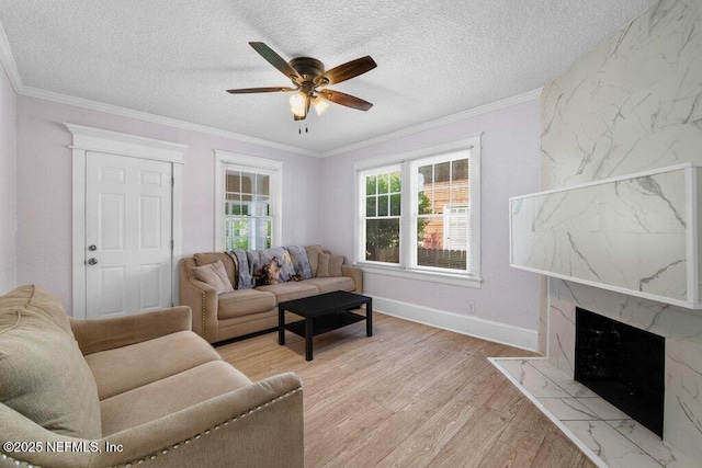 533 W 18th St, Jacksonville, FL 32206 - photo 5