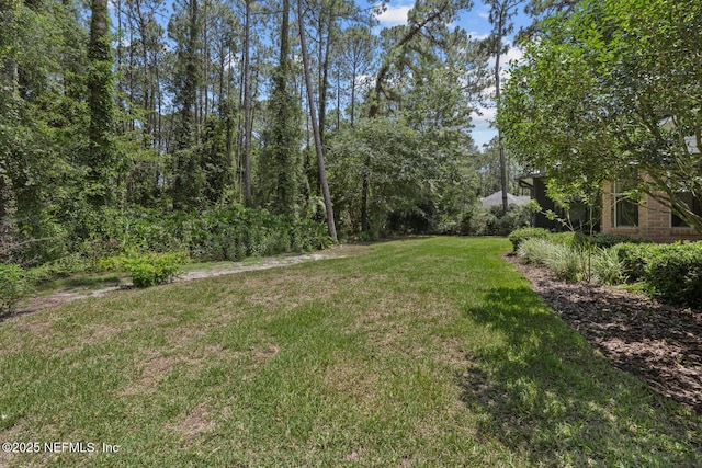 8641 Autumn Green Dr, Jacksonville, FL 32256 - photo 44