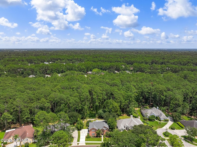8641 Autumn Green Dr, Jacksonville, FL 32256 - photo 48