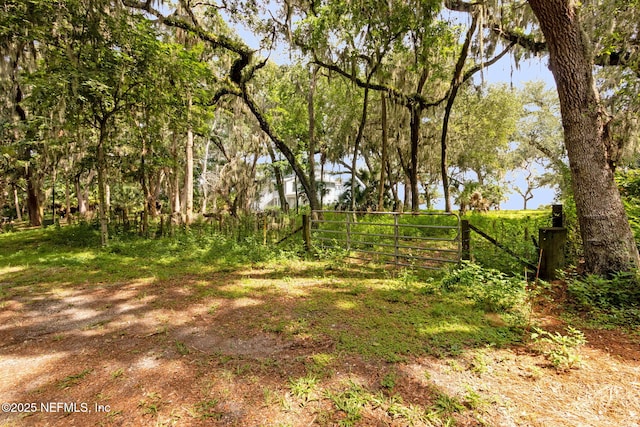 16385 Waterville Rd, Jacksonville, FL 32226 - photo 6