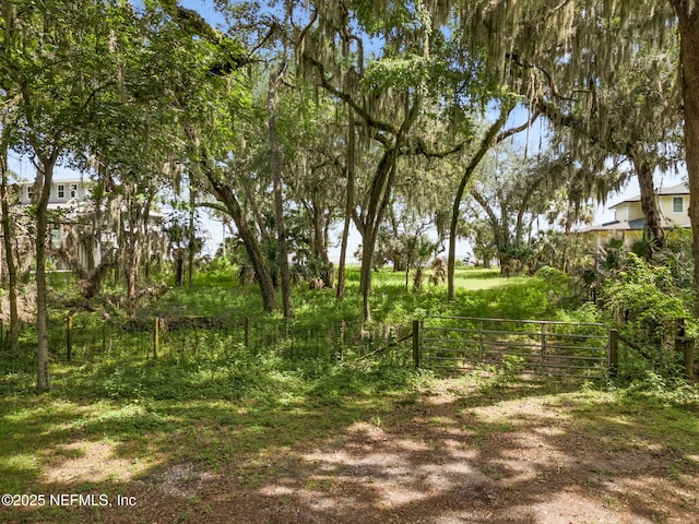 16385 Waterville Rd, Jacksonville, FL 32226 - photo 8