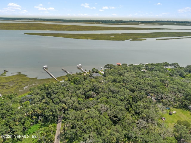 16385 Waterville Rd, Jacksonville, FL 32226 - photo 16