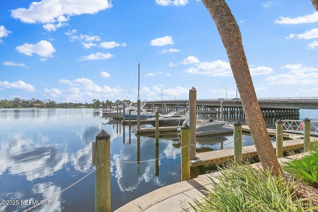 5375 Ortega Farms Blvd Unit 1110, Jacksonville, FL 32210 - photo 2