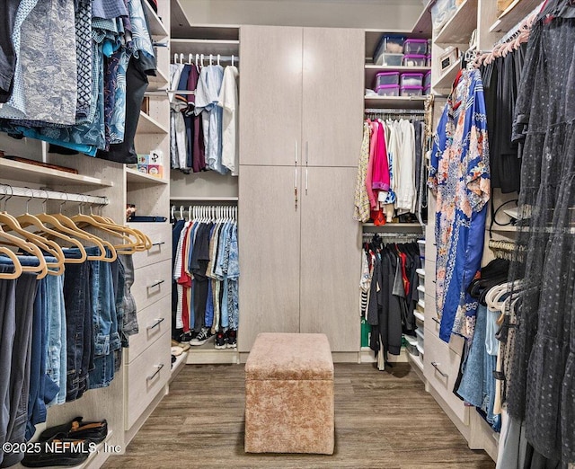 1639 Maritime Oak Dr, Atlantic Beach, FL 32233 - walk in closet featuring wood finished floors
