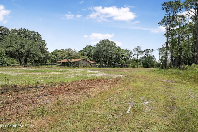 0 Cortez Rd, Jacksonville, FL 32246 - photo 11