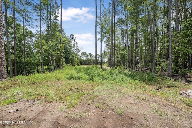 0 Cortez Rd, Jacksonville, FL 32246 - photo 13