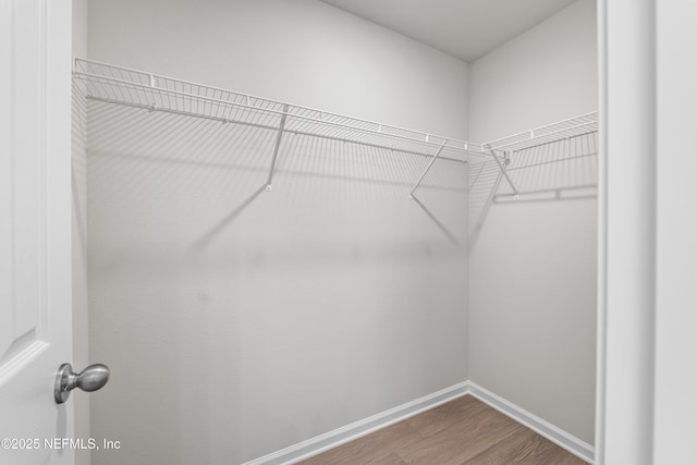 8077 Devoe St, Jacksonville, FL 32220 - spacious closet with dark wood-style floors