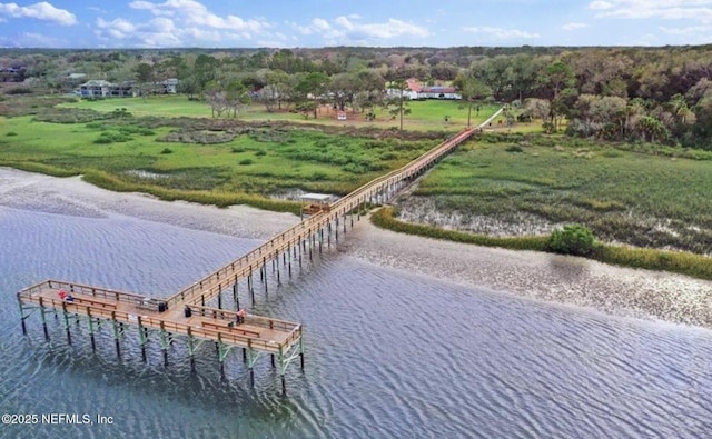 18 Andalusia Ct, Saint Augustine, FL 32086 - photo 37