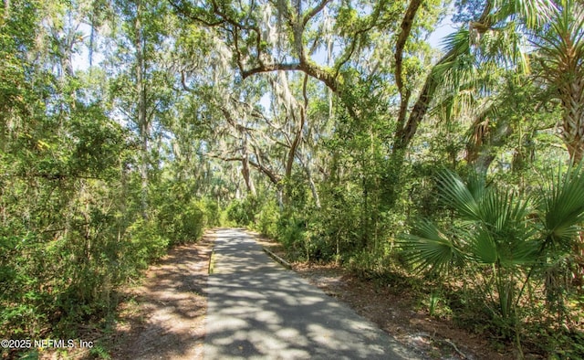 18 Andalusia Ct, Saint Augustine, FL 32086 - photo 47