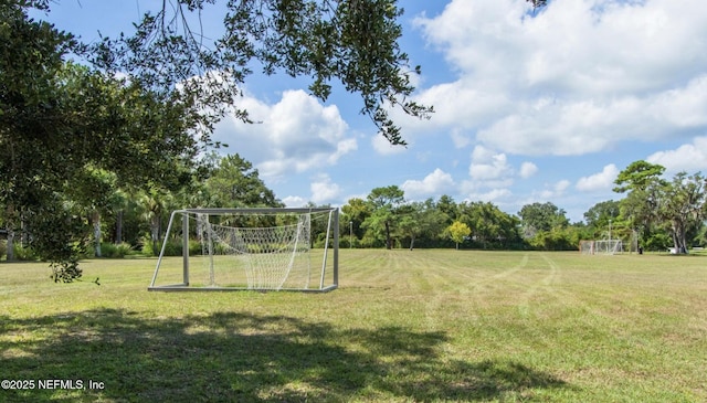 18 Andalusia Ct, Saint Augustine, FL 32086 - photo 45