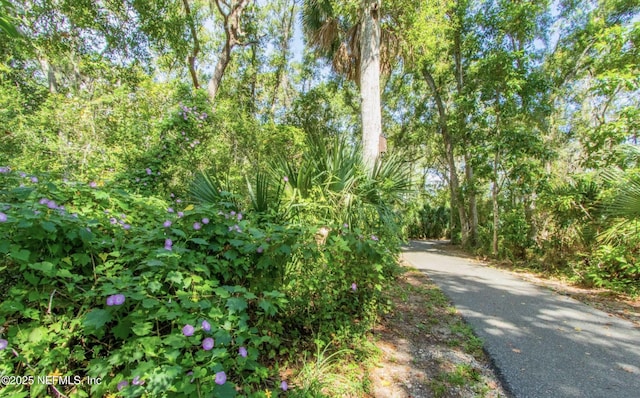 18 Andalusia Ct, Saint Augustine, FL 32086 - photo 48