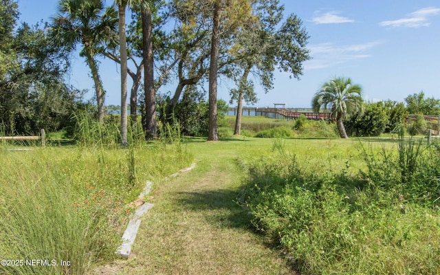 18 Andalusia Ct, Saint Augustine, FL 32086 - photo 46