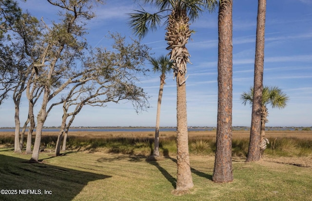 18 Andalusia Ct, Saint Augustine, FL 32086 - photo 30