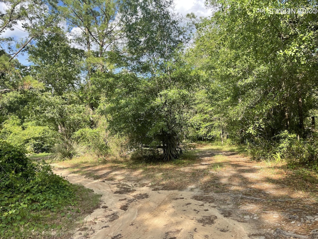 1901 Harvest Way, Middleburg, FL 32068