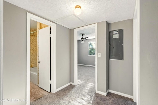 8249 Paschal St, Jacksonville, FL 32220 - photo 22