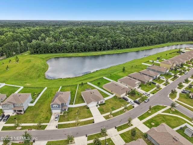 4430 Warm Springs Way, Middleburg, FL 32068 - photo 47