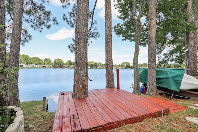 11286 Lake Mandarin Cir E, Jacksonville, FL 32223 - photo 3