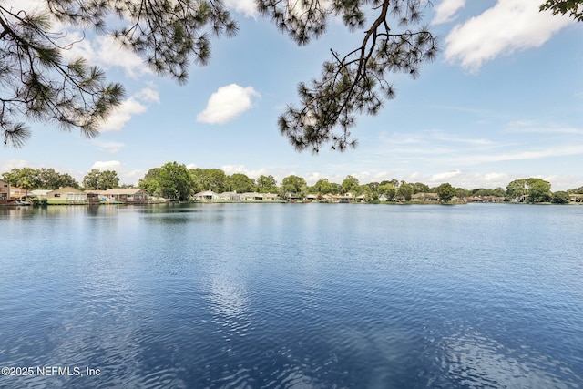11286 Lake Mandarin Cir E, Jacksonville, FL 32223 - photo 37