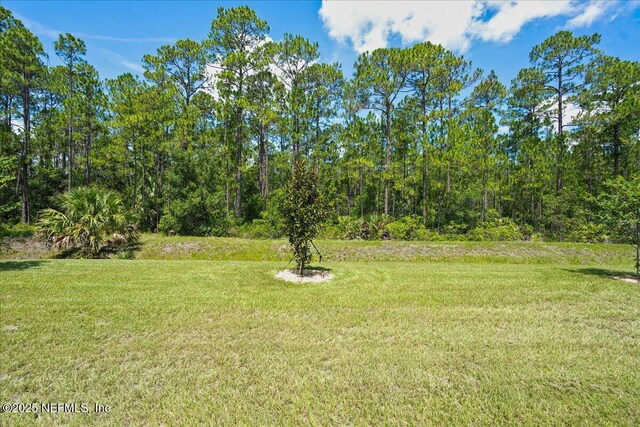 79 Reidsville Dr, Palm Coast, FL 32164 - photo 33