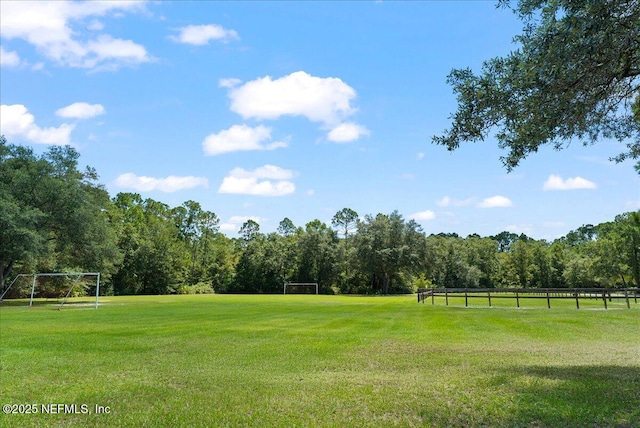 1275 Surrey Gln, Middleburg, FL 32068 - photo 45