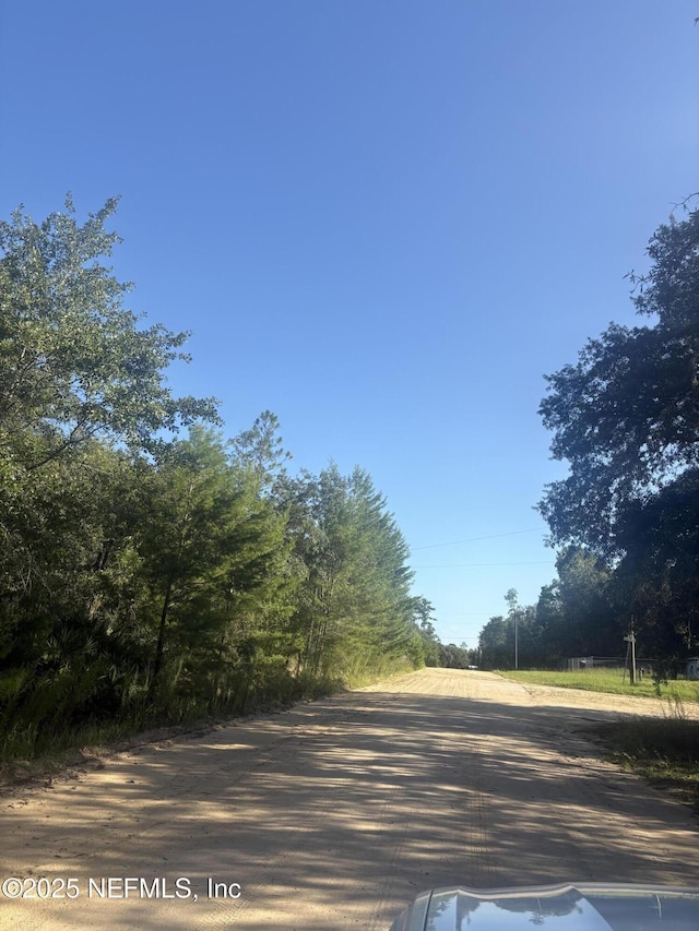 0060 Montague Ave, Interlachen, FL 32148 - photo 2