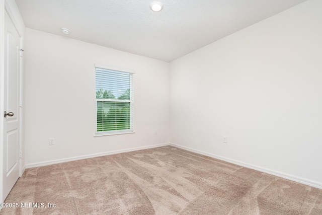 32 Rylin Ln, Palm Coast, FL 32164 - photo 10