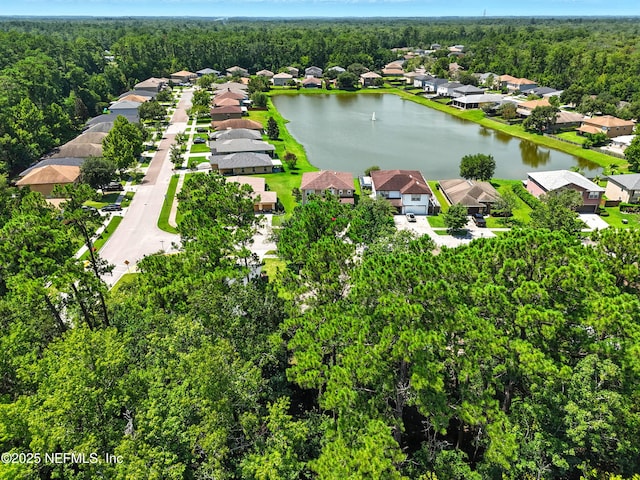 2906 Bent Bow Ln, Middleburg, FL 32068 - photo 34