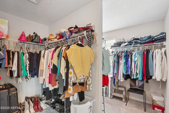 1919 Silo Oaks Pl, Middleburg, FL 32068 - photo 40