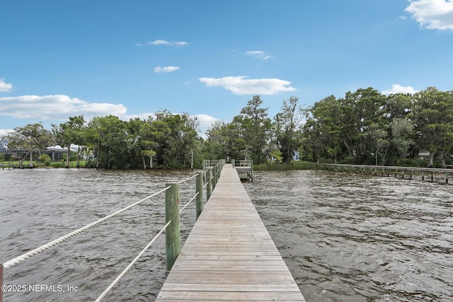 1919 Silo Oaks Pl, Middleburg, FL 32068 - photo 61