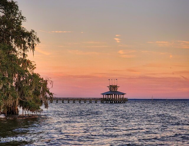 231 Footbridge Rd, Saint Johns, FL 32259 - photo 37