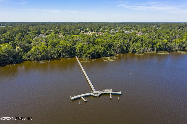 1744 Fiddlers Ridge Dr, Fleming Island, FL 32003 - photo 54