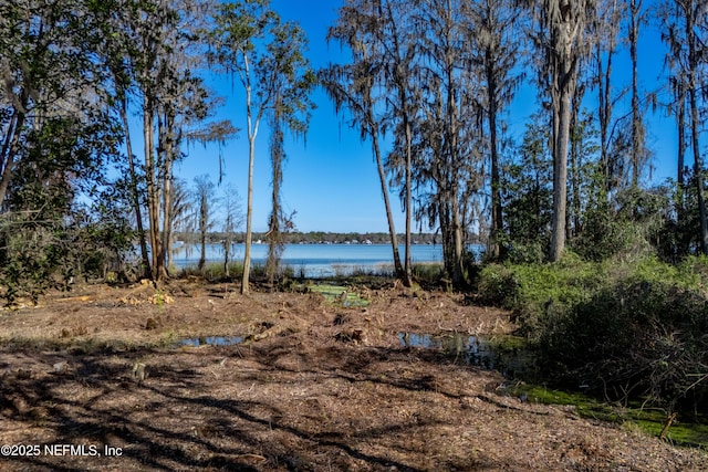 10435 SW 80th Pl, Hampton, FL 32044 - photo 51