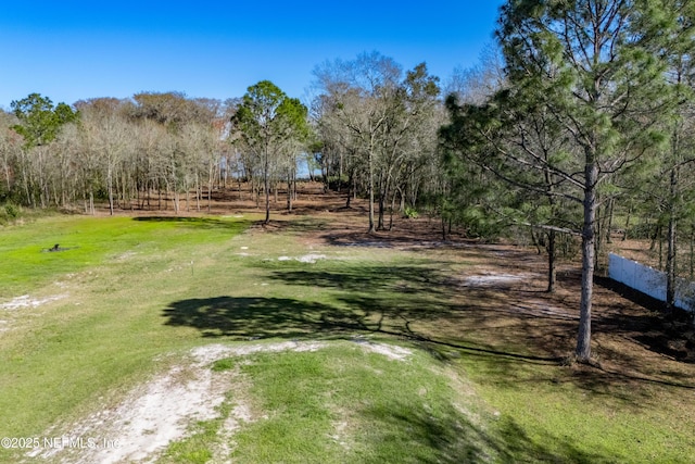 10435 SW 80th Pl, Hampton, FL 32044 - photo 50