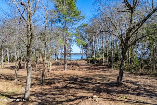 10435 SW 80th Pl, Hampton, FL 32044 - photo 52