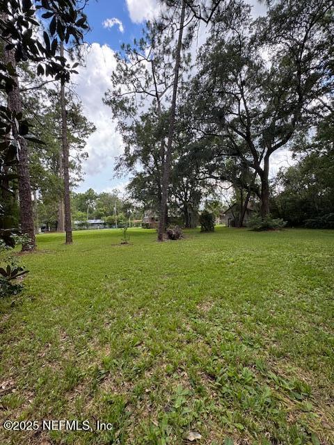 1737 Bassett Rd, Jacksonville, FL 32208 - photo 27