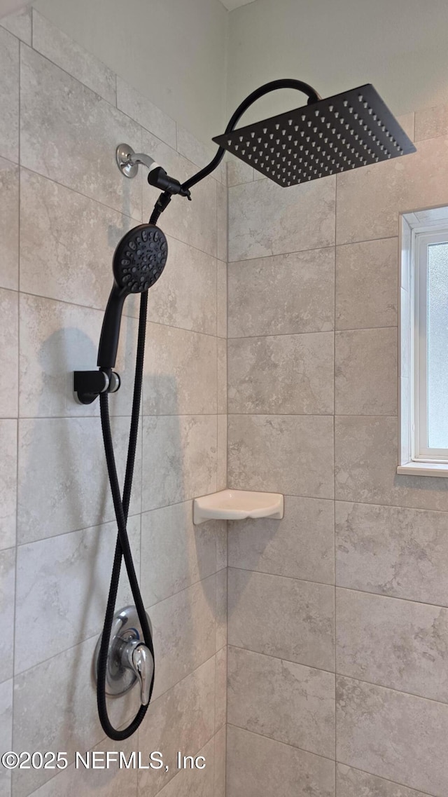 228 Clayton St, Brandon, FL 33511 - bathroom view of a tile shower
