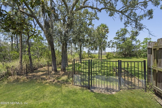610 Celebrity Ct, Jacksonville, FL 32225 - photo 32