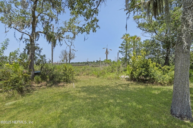 610 Celebrity Ct, Jacksonville, FL 32225 - photo 34