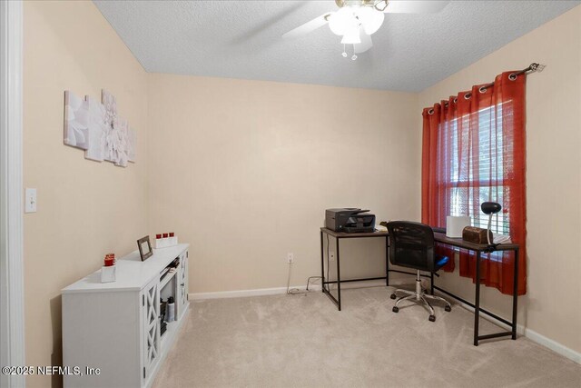 857 Pine Moss Rd, Jacksonville, FL 32218 - photo 9