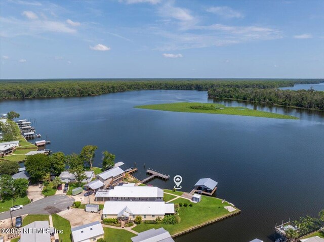 164 Moonlite Dr, Welaka, FL 32193 - photo 51