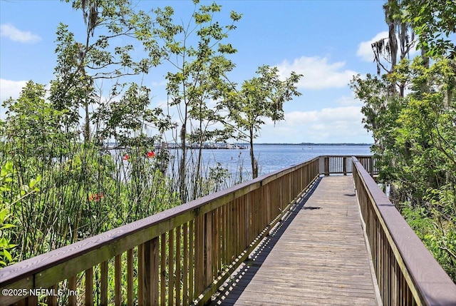 1161 Dover Dr, Fruit Cove, FL 32259 - photo 44